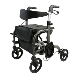 2 In-1 Mobility Aid with 8-Inch Wheels