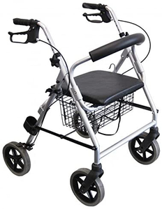 Basic Rollator with 6-Inch Wheels